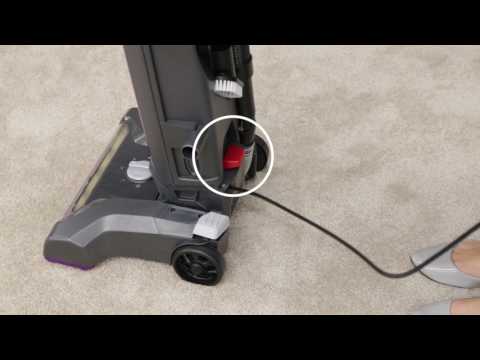 Powerlifter Pet Bagged - No Power Video 2019
