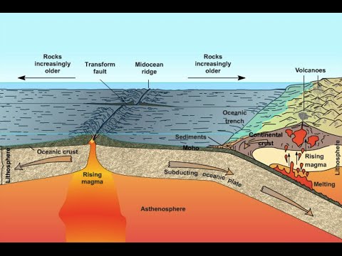 how to prove plate tectonics