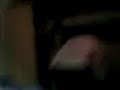 katze unterbricht danny beim fingern