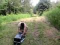 Remove and Relocate a Wild Skunk 5