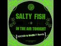 SALTY FISH - In The Air Tonight 2008 (Rocco & Bass-T Remix)