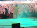 Click here to watch this video FERIA HUITEL EVENTO ARTISTICO 2012