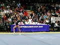 vloer Andrea La Spada leverkusen cup 2007