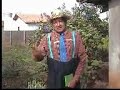 Toim Lazaro - Piadas 2