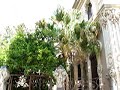Colegio de Arquitectos /video 04/ Colegio de Arquitectos /video 04/