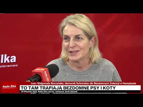 Rozmowa z Małgorzatą Buczyńską, kierowniczką... :: Rozmawiamy o tym, ile zwierzaków czeka dziś na nowych opiekunów, jak naprawdę wygląda proces adopcji i dlaczego czasem schronisko mówi "nie". Jeśli ktoś z naszych słuchaczy myśli o adopcji albo po prostu kochacie zwierzaki - koniecznie słuchajcie!