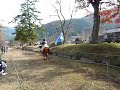 津和野「鷲宮八幡宮」秋の流鏑馬by紅葉台木曽馬 その７