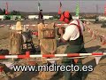 Escultura tallada con moto sierra.