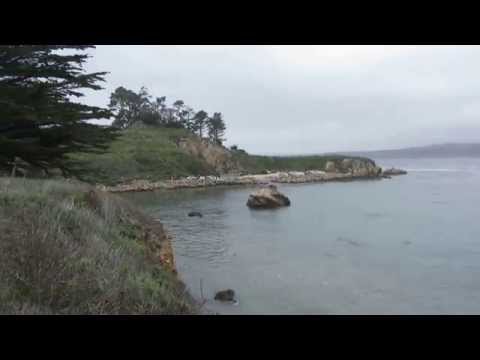 Video for Point Lobos SNR – Whalers Cove