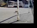 Aim to be ball-dribbling maestro? Aim to be ball-dribbling maestro?