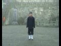Wudang Xuanwu Boxing 武当玄武拳