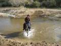 videos de Bear Creek Fox Trotters Slide Show