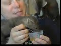 Little sables (Knopa and Tishka)