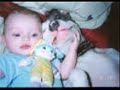 Pitbulls Attack Child! Pitbulls Attack Child!