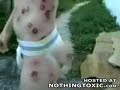 n�hled 3