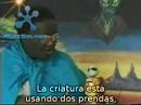 Immagine anteprima YouTube