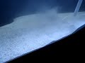 Sand Rake - Aquarium Maintenance Tool Sand Rake - Aquarium Maintenance Tool