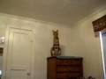 Serval Jump