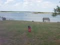 Bella Playing Catch