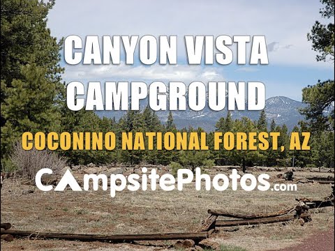 Canyon Vista Campground, Coconino National Forest, Arizona Campsite Photos