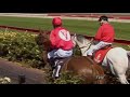 Gallopin - Bagot Hcp