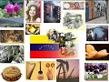 Juan Carlos Salazar - Alma Llanera - Joropo de Venezuela
