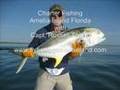 Fishing Giant Jack Crevalle Nearshore Amelia Island Fl
