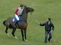 Hourse Vs Jockey