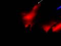 videos de Ricardo Villalobos @ FabricLondon 15/11/08 (6)