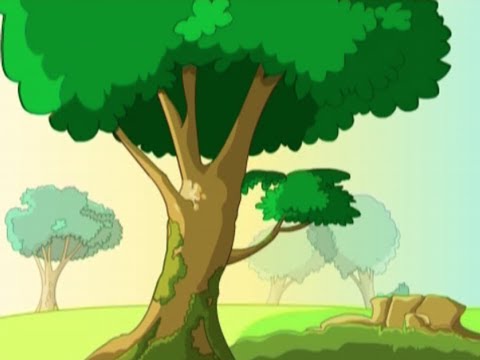 the green grass grows all around