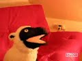 Game Petwork 4