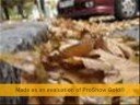 Anotimpuri...( Chambao -Ahi estas tu )