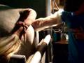 Horse Artificial Insemination (AI)