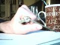 Stabilit Zylinder gepickt