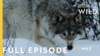 Land of Ice and Snow (Full Episode)  Wild Nordic