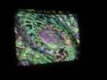 videos de picollo trianon