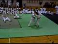 Alarico - Alessio - Alberto - Zoten @ fight