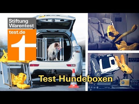 Test Hundeboxen frs Auto: Welche am besten schtze ...