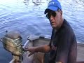 Evinrude Lightwin early 1950\