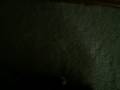 videos de me singing Over My Head (Cable Car) 