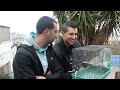 I liked a @YouTube video http://t.co/WVhDYLKSfx Bref Algerien,journée Normal [ DZjoker ]