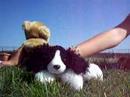 Fluffy Gals episode 1 part 1 Fluffy Gals episode 1 part 1