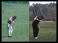 Golf Backswing: Nick Faldo & Nick Price