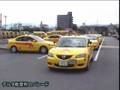 運転免許 教習所のパレード