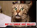 Thumbnail #3
