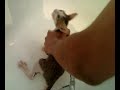 Yasmina sous le douche