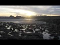 Wimereux Family