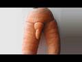 Vegetables that look like Penises