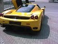 Enzo Nice Loud