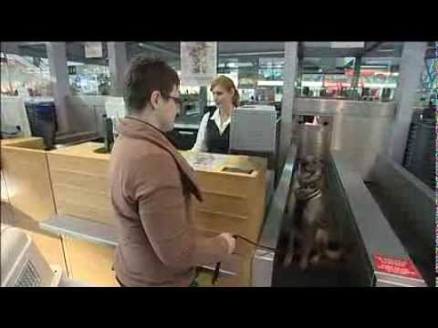 Flugblatt 02/2014 - Tia, der fliegende Hund